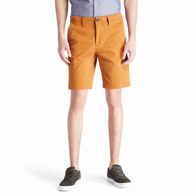 Pánské Šortky Timberland Squam Lake Chino Žluté | TI23860-576
